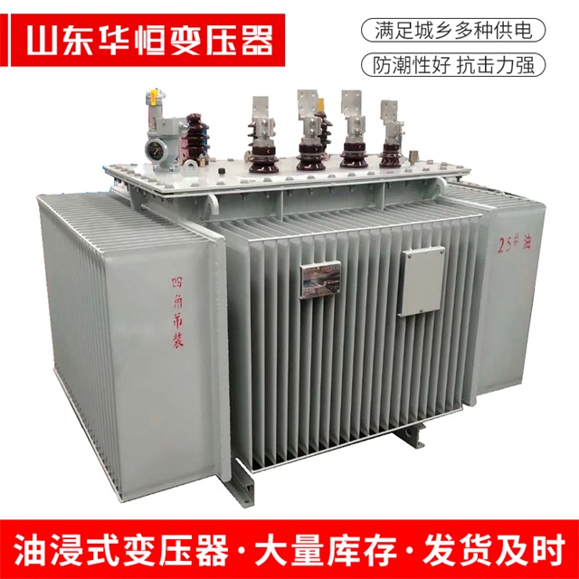 S13-10000/35达州达州达州电力变压器厂家